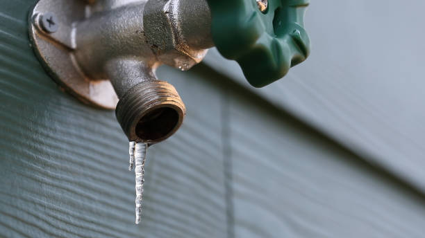Best Leak Detection Services  in Oakton, VA